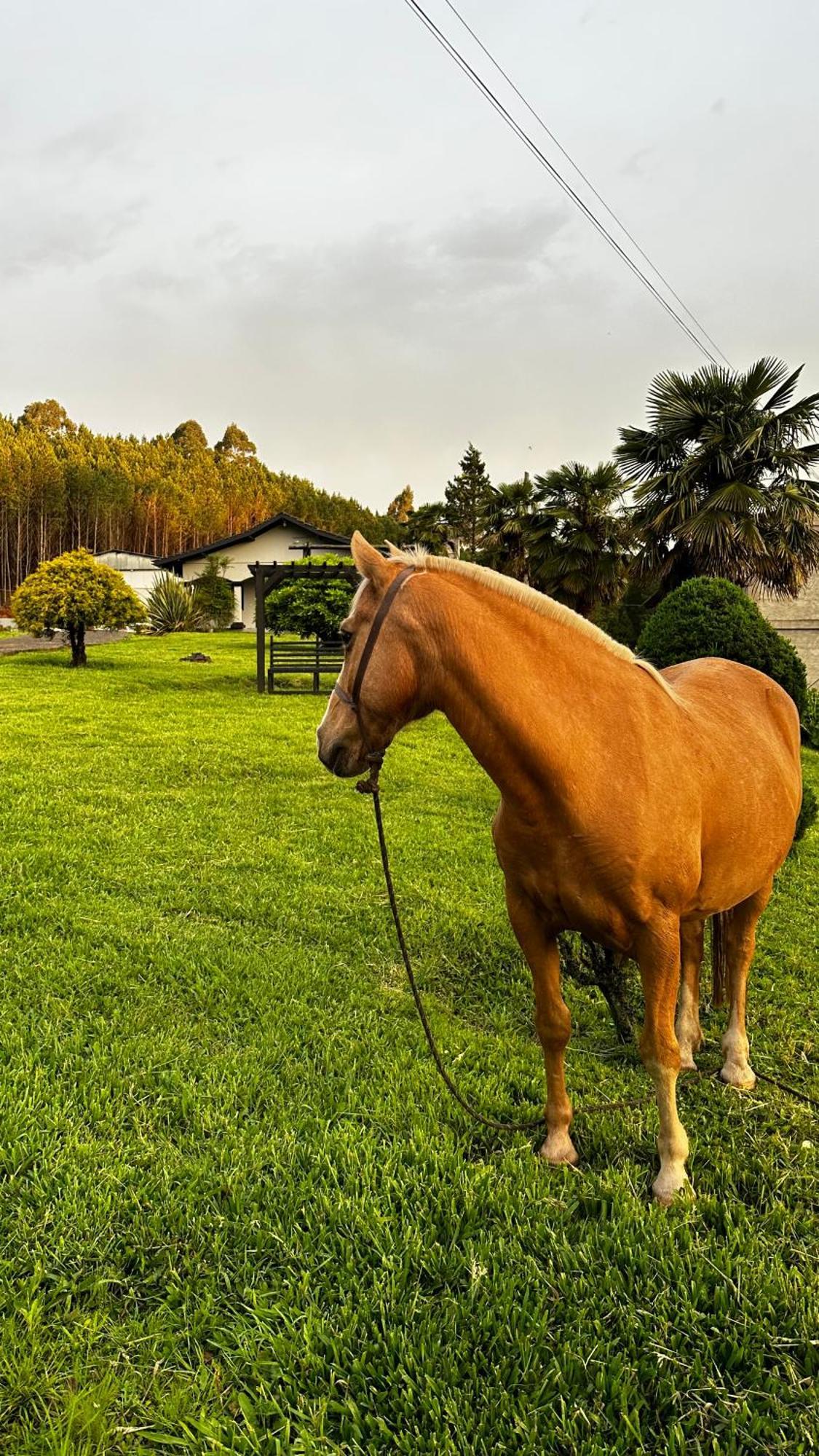 Pousada Serra & Jardim Bom Jardim da Serra Εξωτερικό φωτογραφία